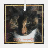 Elegant Cat Foto aangepast Gold Trim Glass Ornamen Glas Ornament (Achterkant)