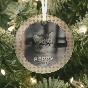 Elegant Cat Foto Golden Snowflakes kerst Glas Ornament