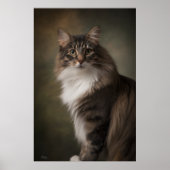 Elegant Cat Studio Portrait Poster (Voorkant)