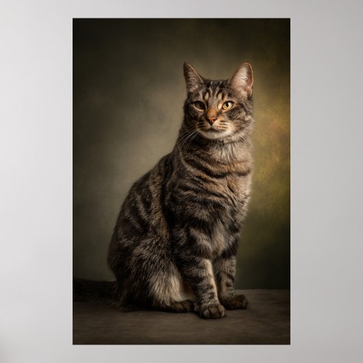 Elegant Cat Studio Portrait Poster (Voorkant)