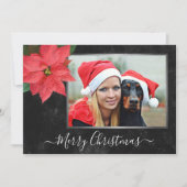 Elegant Chalkboard Poinsettia kerstfoto Feestdagenkaart (Voorkant)