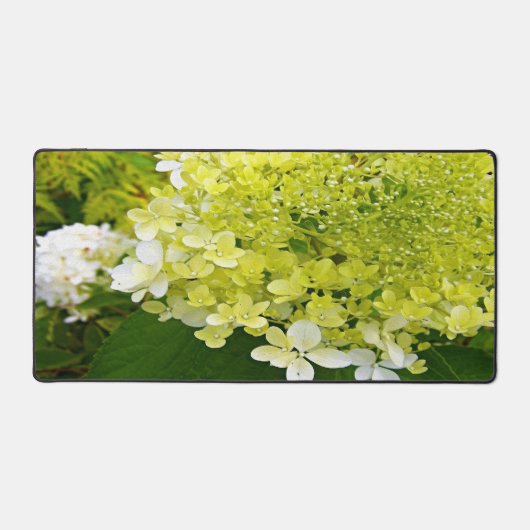 Elegant Chartreuse Green Limelight Hydrangea Bureaumat (Voorkant)