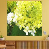 Elegant Chartreuse Green Limelight Hydrangea Canvas Afdruk (Insitu (Woonkamer))