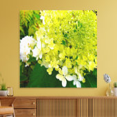Elegant Chartreuse Green Limelight Hydrangea Canvas Afdruk (Insitu (Woonkamer))