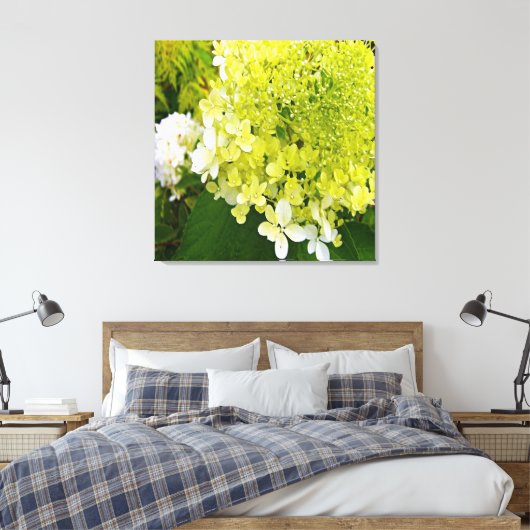 Elegant Chartreuse Green Limelight Hydrangea Canvas Afdruk (Insitu (Slaapkamer))