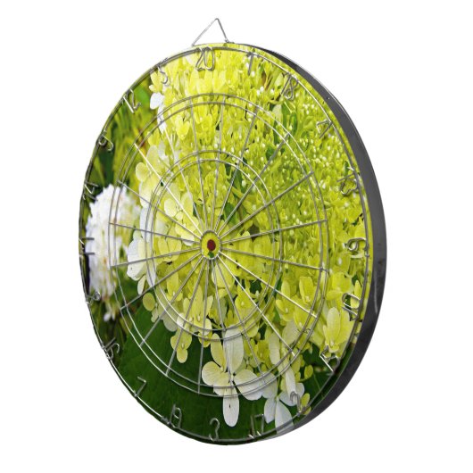 Elegant Chartreuse Green Limelight Hydrangea Dartbord (Voorkant Rechts)