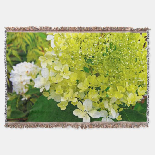 Elegant Chartreuse Green Limelight Hydrangea Deken (Voorkant)
