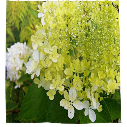 Elegant Chartreuse Green Limelight Hydrangea Douchegordijn (Voorkant)