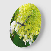 Elegant Chartreuse Green Limelight Hydrangea Grote Klok (Hoek)