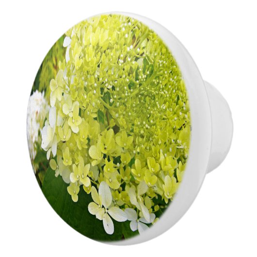 Elegant Chartreuse Green Limelight Hydrangea Keramische Knop (Rechts)