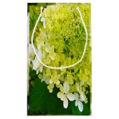 Elegant Chartreuse Green Limelight Hydrangea Klein Cadeauzakje (Achterkant)