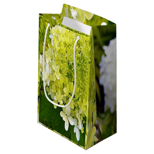 Elegant Chartreuse Green Limelight Hydrangea Klein Cadeauzakje (Voorkant Gekanteld)