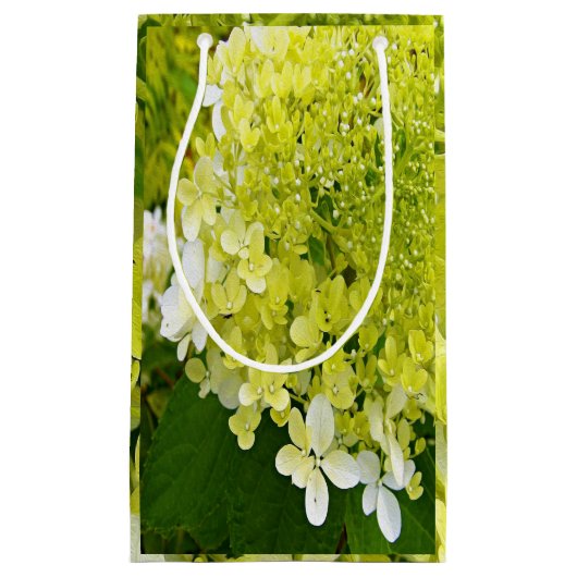 Elegant Chartreuse Green Limelight Hydrangea Klein Cadeauzakje (Voorkant)