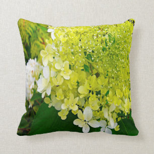 Elegant Chartreuse Green Limelight Hydrangea Kussen