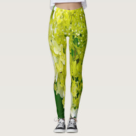 Elegant Chartreuse Green Limelight Hydrangea Leggings
