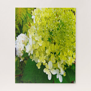 Elegant Chartreuse Green Limelight Hydrangea Legpuzzel