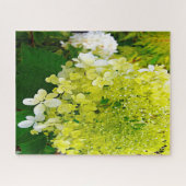 Elegant Chartreuse Green Limelight Hydrangea Legpuzzel (Horizontaal)