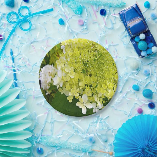 Elegant Chartreuse Green Limelight Hydrangea Papieren Bordje (Feest)