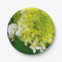 Elegant Chartreuse Green Limelight Hydrangea Papieren Bordje