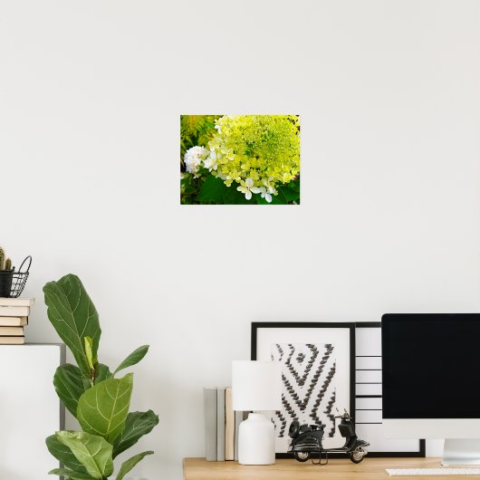 Elegant Chartreuse Green Limelight Hydrangea Poster (Thuiskantoor)