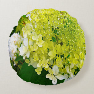 Elegant Chartreuse Green Limelight Hydrangea Rond Kussen