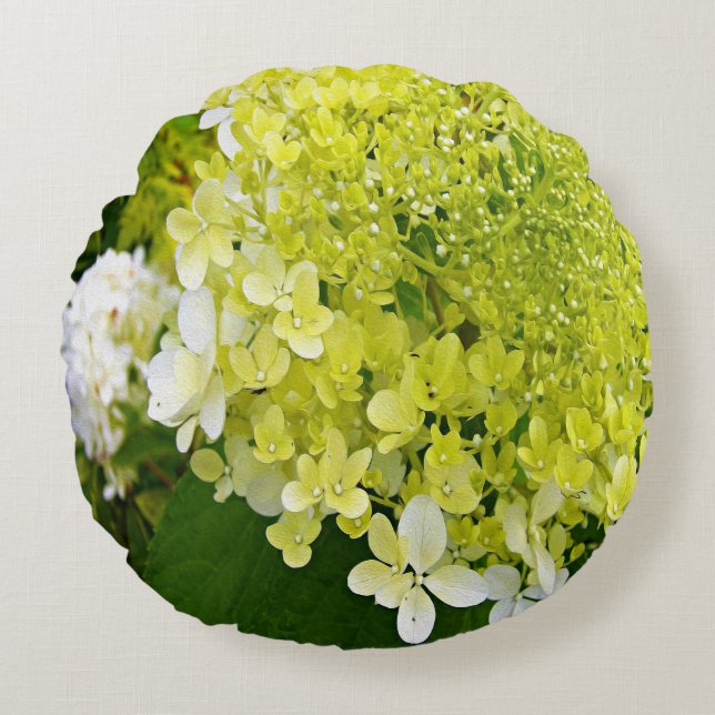 Elegant Chartreuse Green Limelight Hydrangea Rond Kussen (Voorkant)