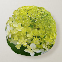 Elegant Chartreuse Green Limelight Hydrangea