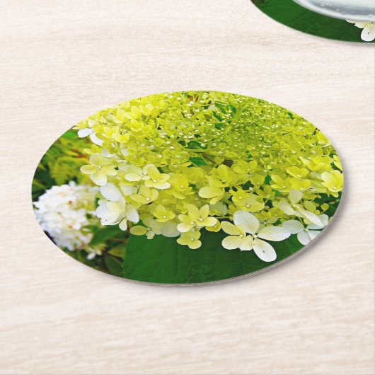 Elegant Chartreuse Green Limelight Hydrangea Ronde Kartonnen Onderzetter (Gebogen)