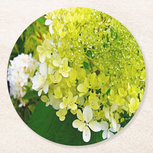 Elegant Chartreuse Green Limelight Hydrangea Ronde Kartonnen Onderzetter (Voorkant)