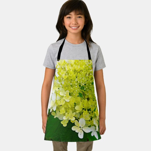 Elegant Chartreuse Green Limelight Hydrangea Schort (Insitu)