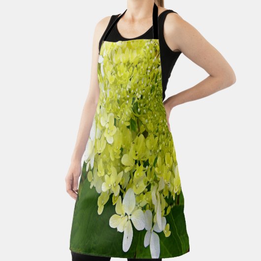 Elegant Chartreuse Green Limelight Hydrangea Schort (Insitu)