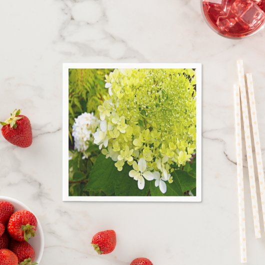 Elegant Chartreuse Green Limelight Hydrangea Servet (Insitu)