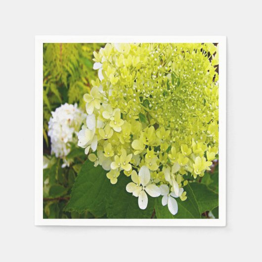 Elegant Chartreuse Green Limelight Hydrangea Servet (Voorkant)