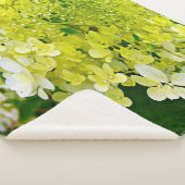 Elegant Chartreuse Green Limelight Hydrangea Sherpa Deken (3/4)
