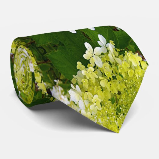 Elegant Chartreuse Green Limelight Hydrangea Stropdas (Opgerold)