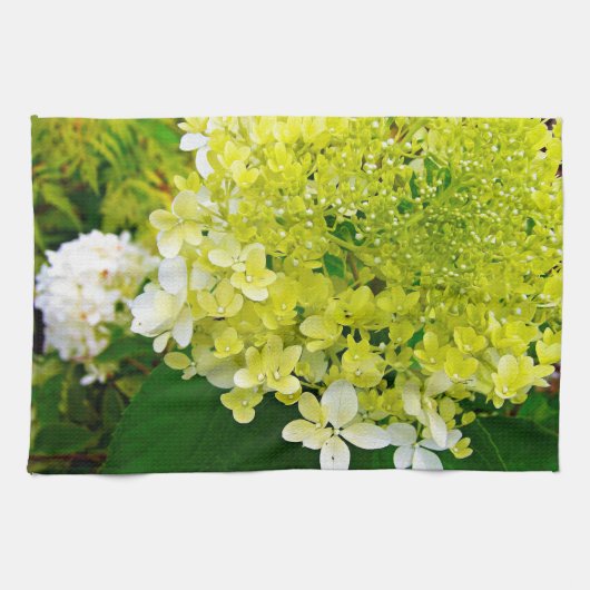 Elegant Chartreuse Green Limelight Hydrangea Theedoek (Horizontaal)