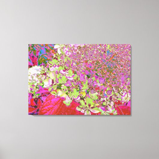 Elegant Chartreuse Green, Pink and Blue Hydrangea Canvas Afdruk (Voorkant)
