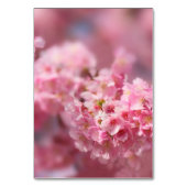 Elegant Cherry Blossom Floral Photography Wedding Kaart (Achterkant)