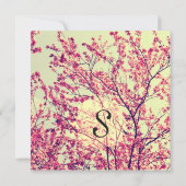 Elegant Cherry Blossom op Rustisch Blauwgroen Kaart (Achterkant)