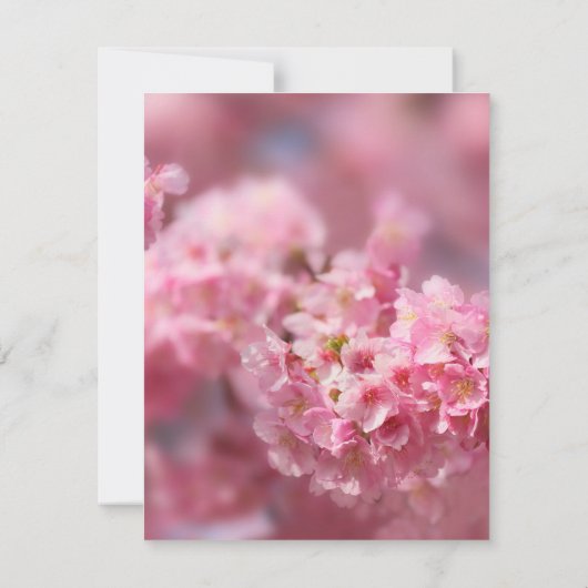 Elegant Cherry Blossom Sakura Floral Wedding RSVP Kaartje (Achterkant)