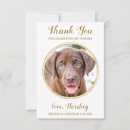 Elegant Chic Gold Custom Dog Photo Pet Wedding Bedankkaart (Voorkant)