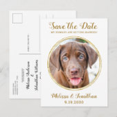 Elegant Chic Gold Custom Pet Photo Dog Weddenschap Aankondigingskaart (Voorkant / Achterkant)