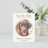 Elegant Chic Gold Custom Pet Photo Dog Weddenschap Aankondigingskaart (Staand voorkant)