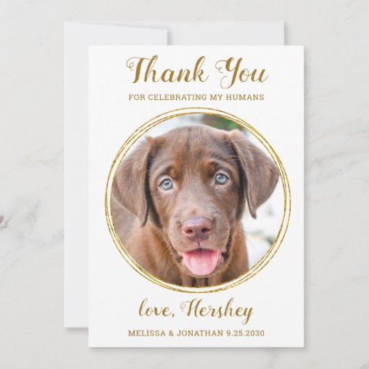 Elegant Chic Gold Custom Pet Photo Dog Weddenschap Bedankkaart (Voorkant)