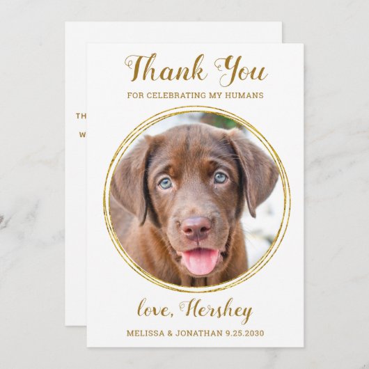 Elegant Chic Gold Custom Pet Photo Dog Weddenschap Bedankkaart (Voorkant / Achterkant)