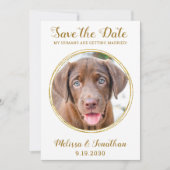 Elegant Chic Gold Custom Pet Photo Dog Weddenschap Save The Date (Voorkant)