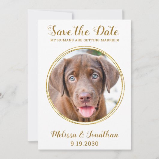 Elegant Chic Gold Custom Pet Photo Dog Weddenschap Save The Date (Voorkant)