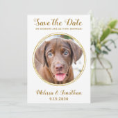Elegant Chic Gold Custom Pet Photo Dog Weddenschap Save The Date (Staand voorkant)