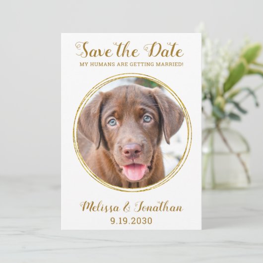 Elegant Chic Gold Custom Pet Photo Dog Weddenschap Save The Date (Staand voorkant)
