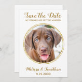 Elegant Chic Gold Custom Pet Photo Dog Weddenschap Save The Date (Voorkant / Achterkant)